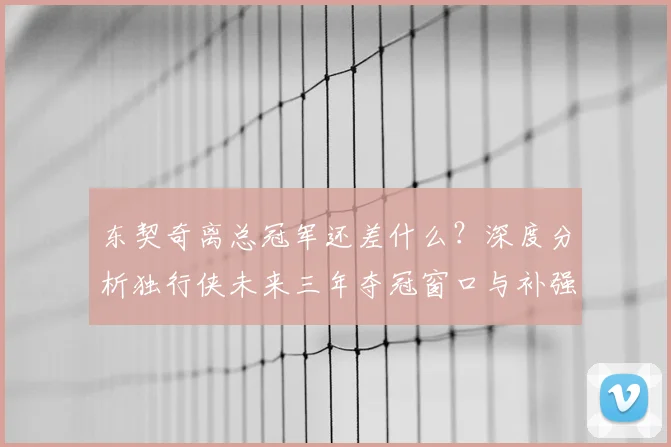 东契奇离总冠军还差什么?深度分析独行侠未来三年夺冠窗口与补强策略