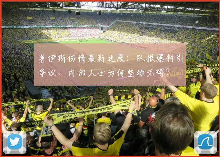鲁伊斯伤情最新进展:队报爆料引争议,内部人士为何坚称无碍?